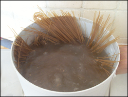 Boiling Buckwheat Noodle